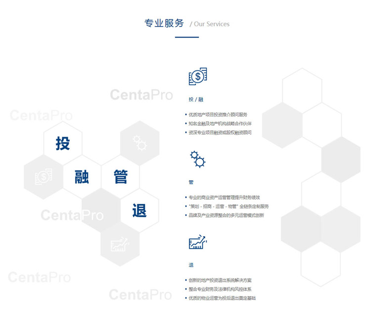 森(sēn)拓普地産網站制作案例